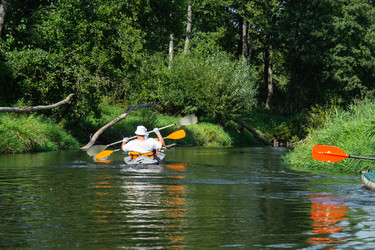 Similar image 22437962