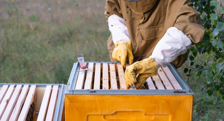 Similar image 22437963