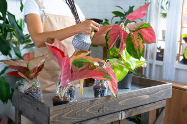 Similar image 22437970