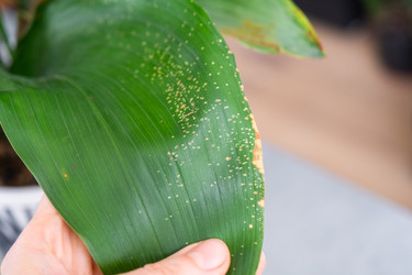 Similar image 22437972