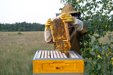 Similar image 22437973