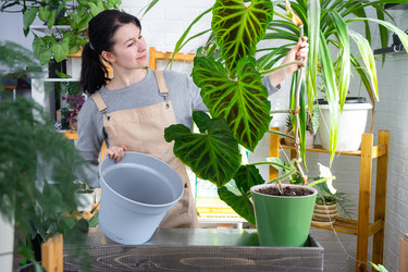 Similar image 22437985