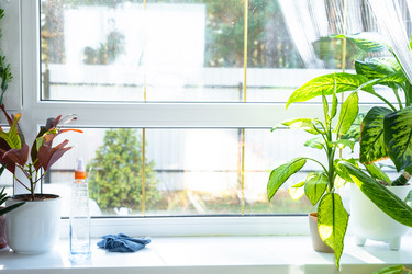 Similar image 22437989