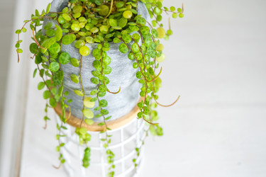 Similar image 22438002