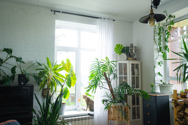 Similar image 22438005