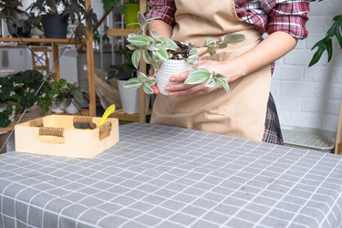 Similar image 22438012