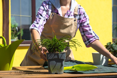 Similar image 22438014