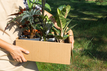 Similar image 22438015