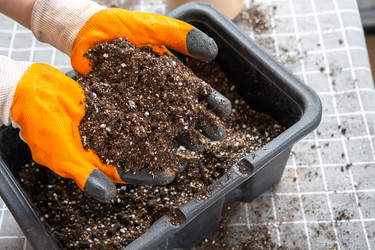 Similar image 22438020