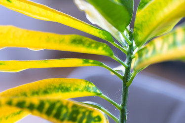 Similar image 22438031