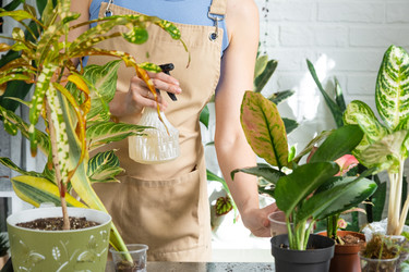 Similar image 22438034