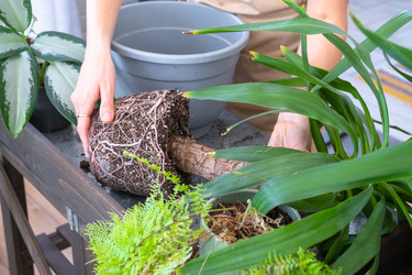 Similar image 22438035