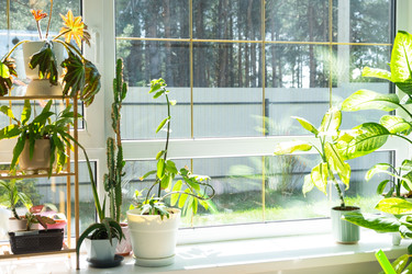 Similar image 22438050