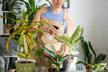 Similar image 22438051