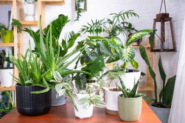 Similar image 22438052