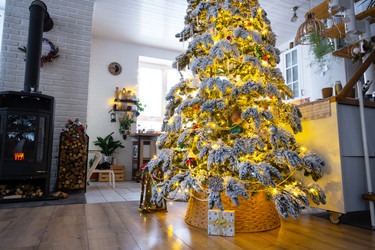 Similar image 22438053