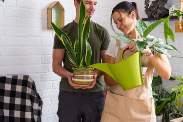 Similar image 22438054