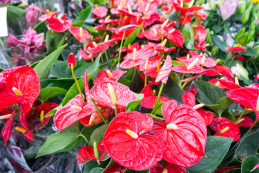 Similar image 22438058