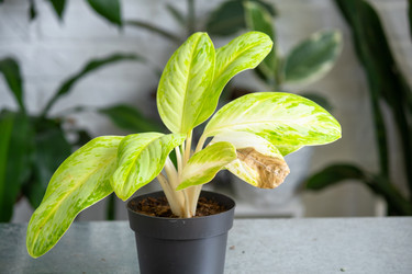 Similar image 22438059