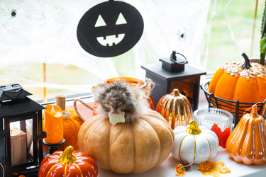 Similar image 22438065