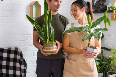 Similar image 22438068