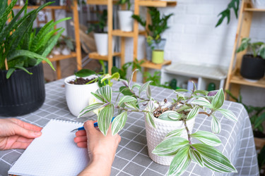 Similar image 22438075