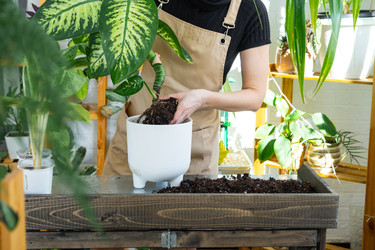 Similar image 22438077