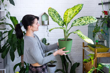 Similar image 22438080