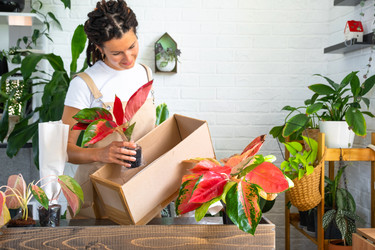 Similar image 22438087