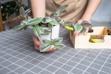 Similar image 22438090