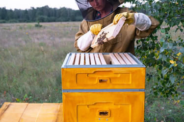 Similar image 22438092