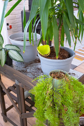 Similar image 22438094