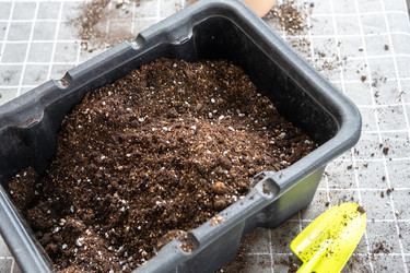 Similar image 22438095