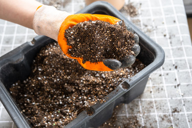 Similar image 22438112