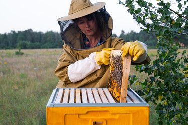 Similar image 22438115