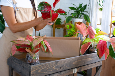 Similar image 22438133