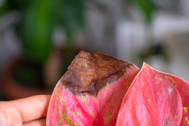 Similar image 22438139