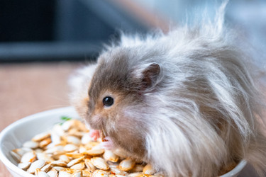 Similar image 22438145