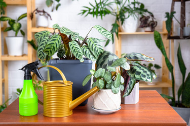 Similar image 22438147