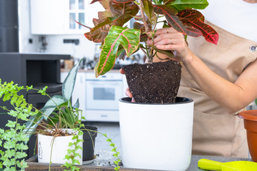 Similar image 22438156