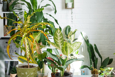 Similar image 22438172