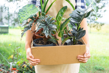 Similar image 22438177