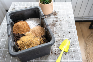 Similar image 22438182