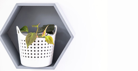 Similar image 22438190