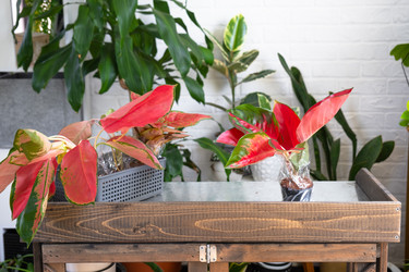 Similar image 22438192