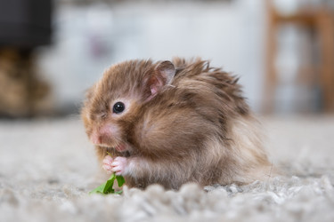 Similar image 22438195