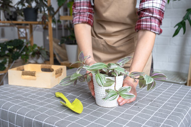 Similar image 22438200