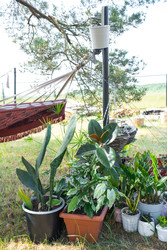 Similar image 22438204