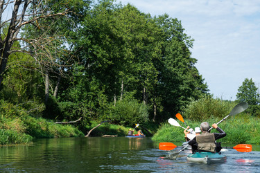 Similar image 22438209