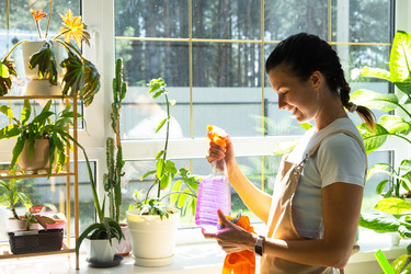 Similar image 22438214